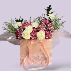 Carnation harmony